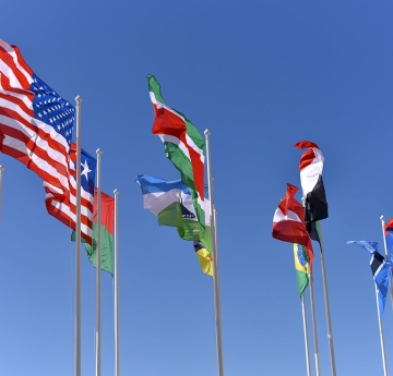 International flags waving